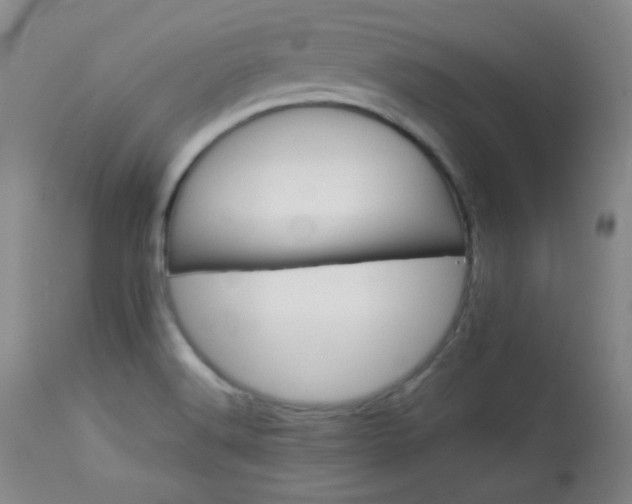 X0000113991516200910021210