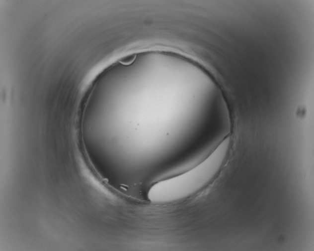 X0000113991518200910021210