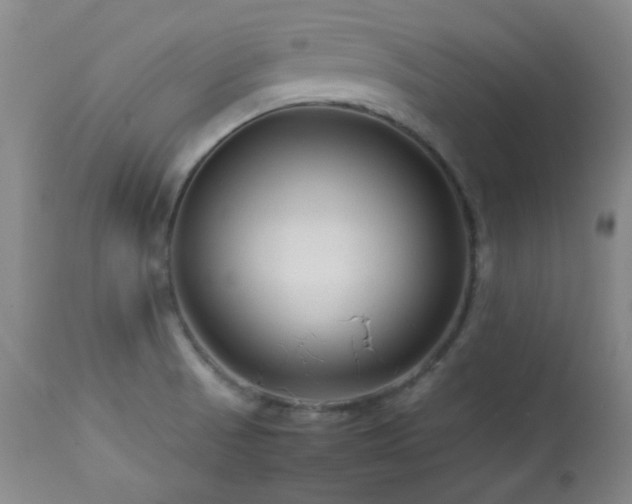 X0000113991521200910021210