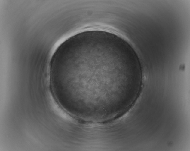 X0000113991522200910021210