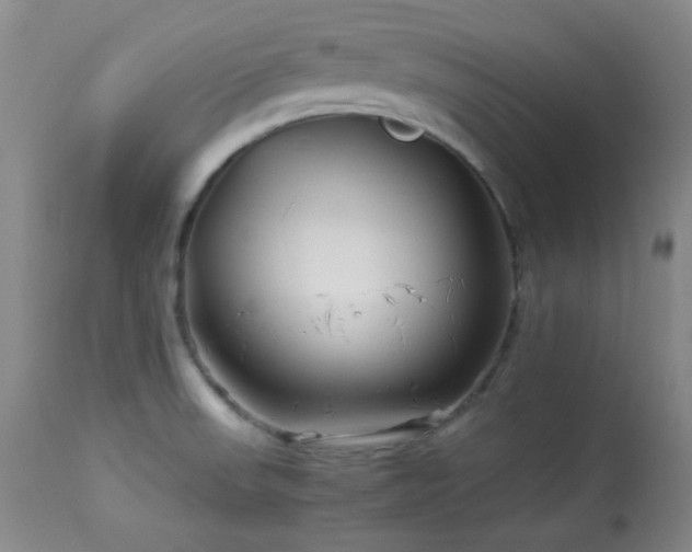 X0000113991523200910021210