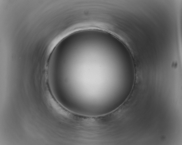 X0000113991524200910021210