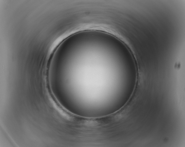 X0000113991525200910021210