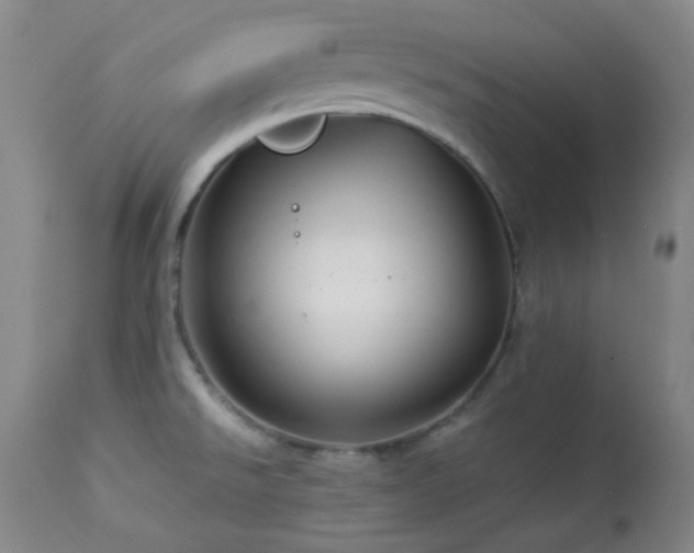 X0000113991526200910021210