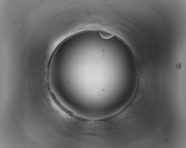 X0000113991527200910021210