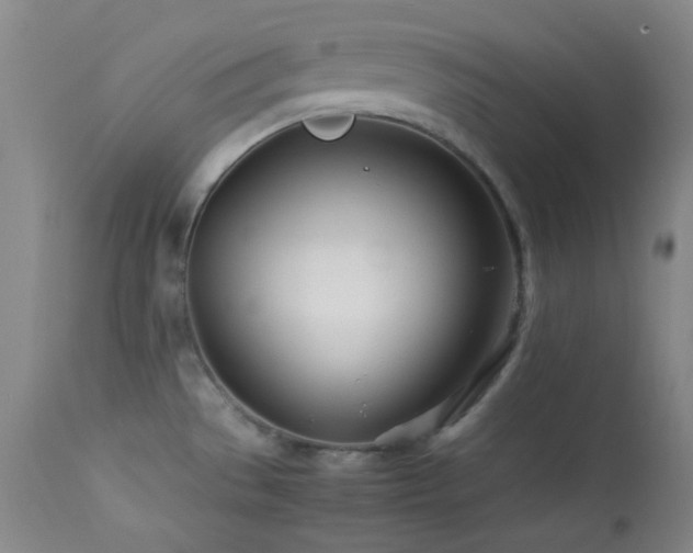 X0000113991529200910021210