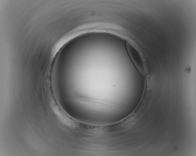 X0000113991530200910021210