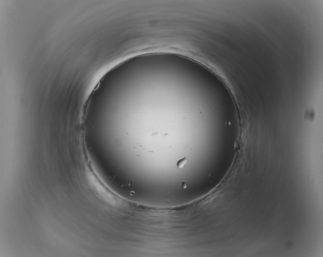 X0000113991532200910021210