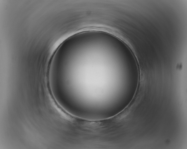 X0000113991533200910021210