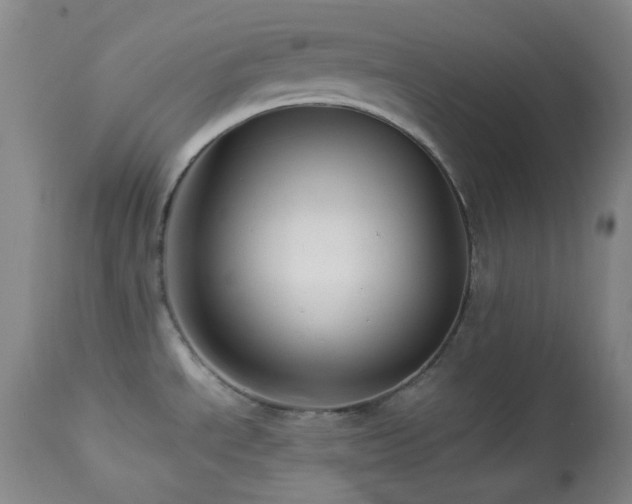 X0000113991534200910021210