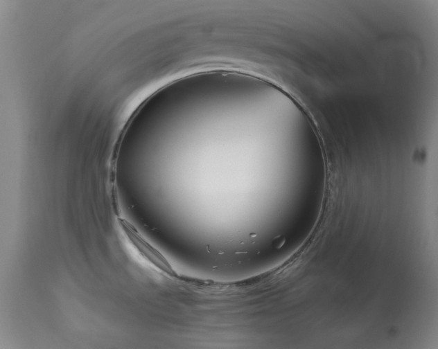 X0000113991535200910021210