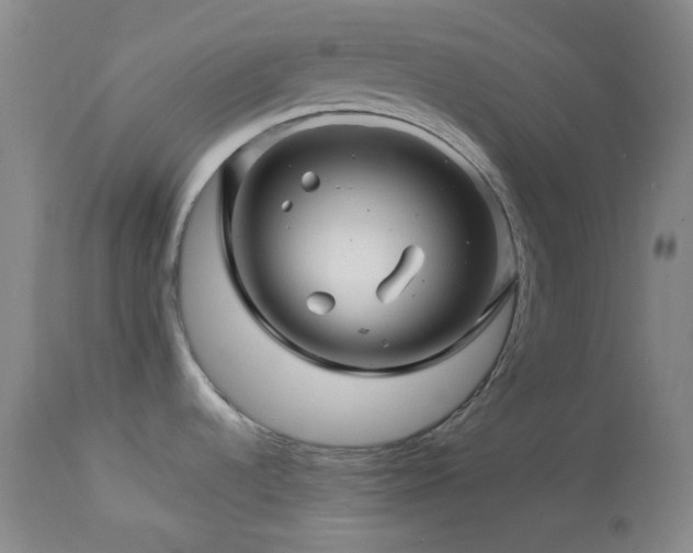 X0000113991536200910021210
