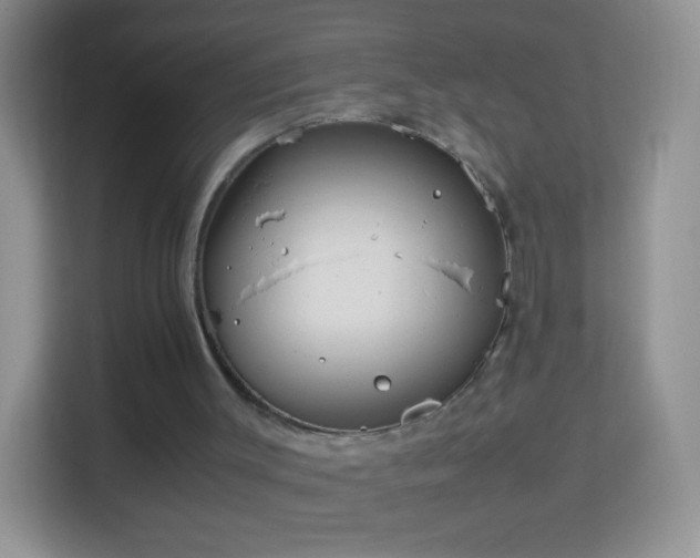 X0000113990003200910091347