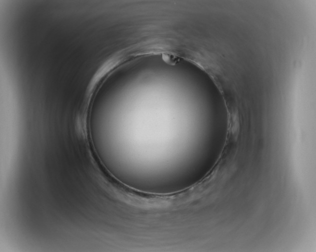 X0000113990004200910091347