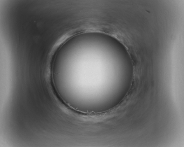 X0000113990005200910091347