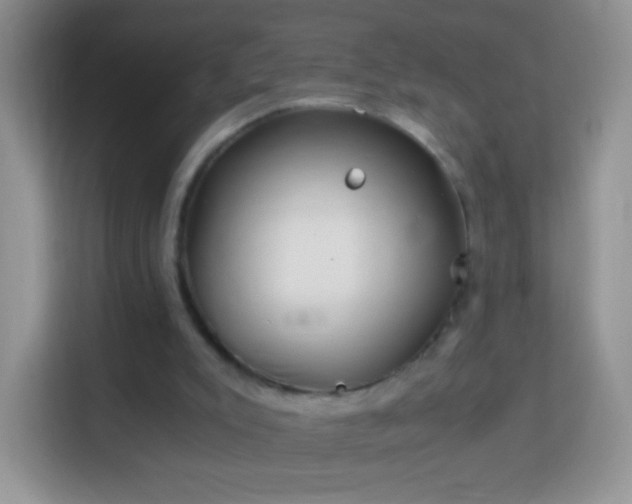 X0000113990007200910091347