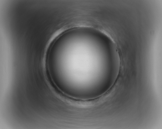 X0000113990008200910091347