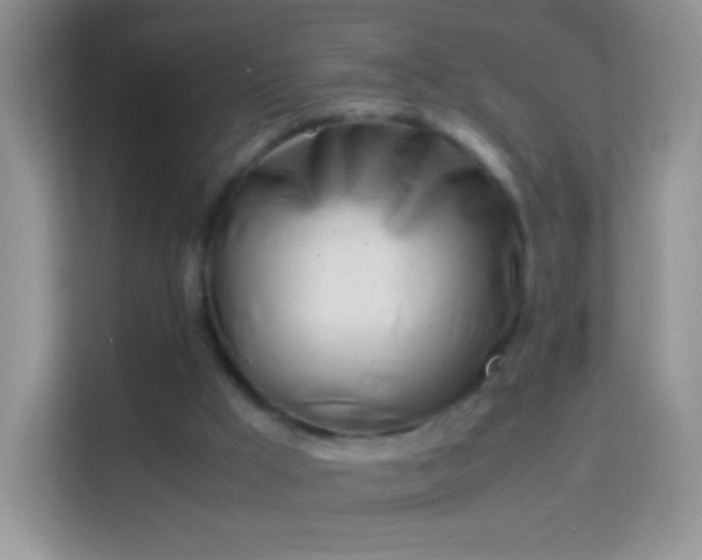 X0000113990009200910091347