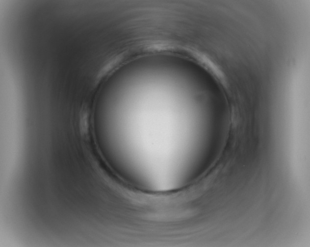 X0000113990010200910091347