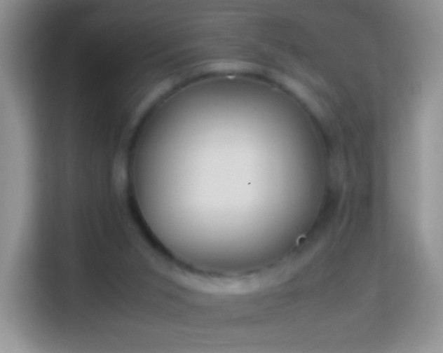 X0000113990015200910091347