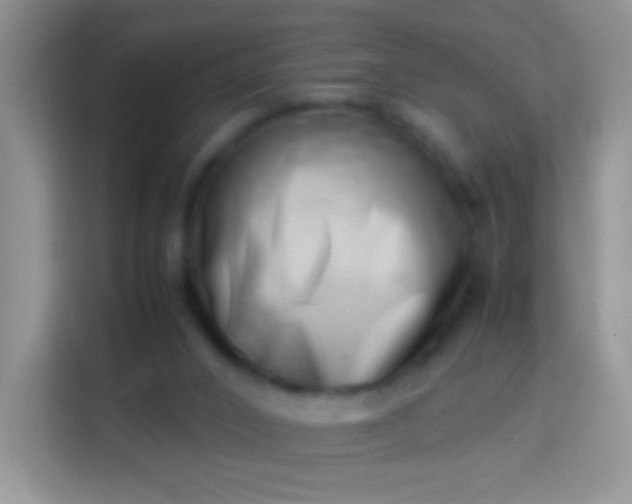 X0000113990016200910091347