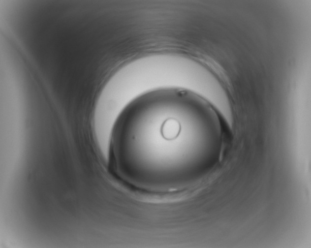 X0000113990017200910091347