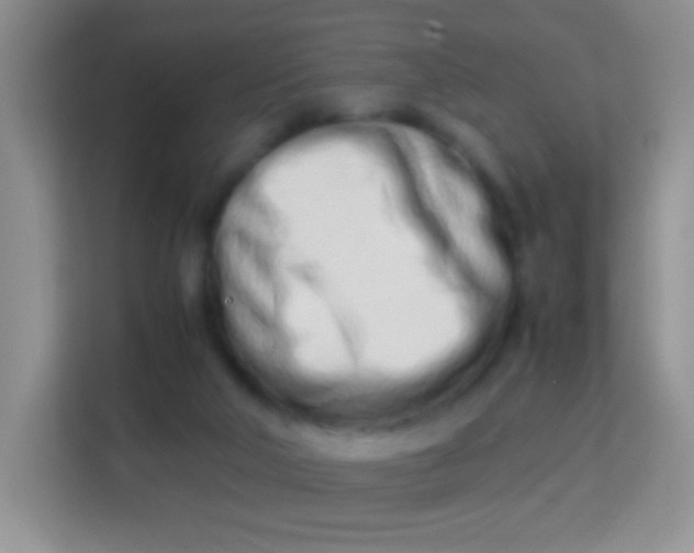 X0000113990018200910091347