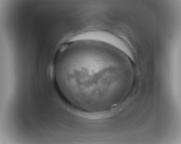 X0000113990019200910091347