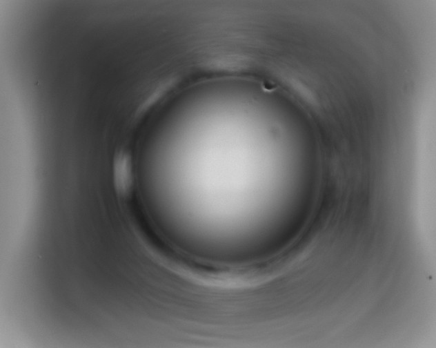 X0000113990020200910091347