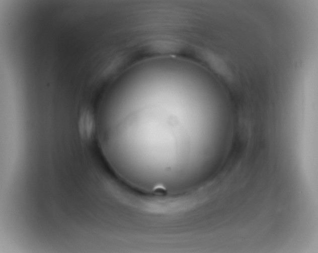 X0000113990021200910091347