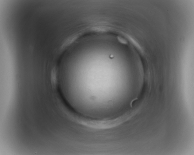 X0000113990023200910091347