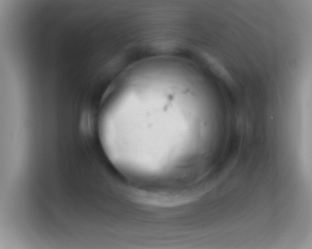 X0000113990026200910091347