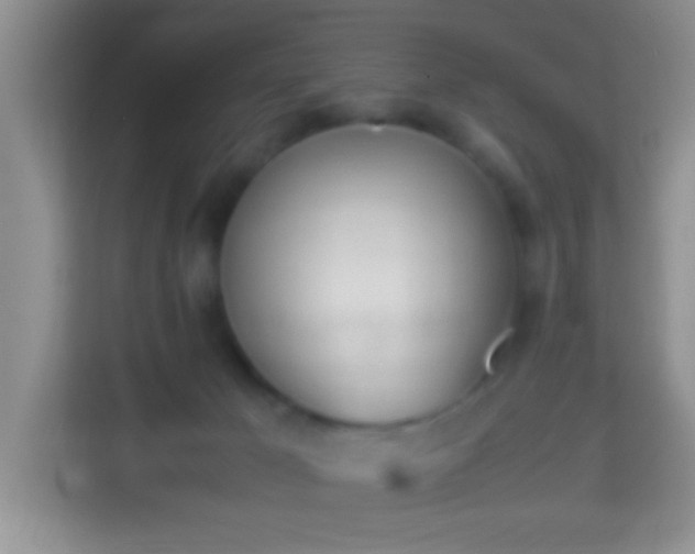 X0000113990029200910091347