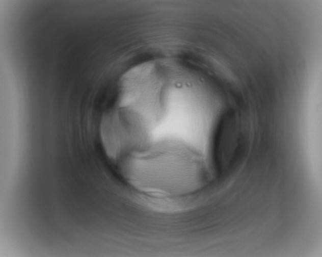 X0000113990030200910091347