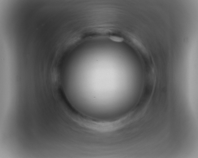 X0000113990031200910091347