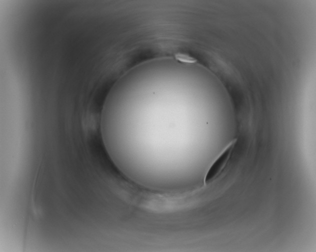 X0000113990033200910091347