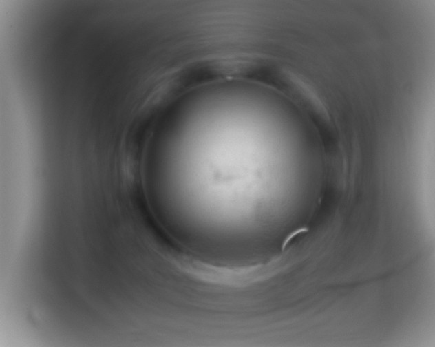 X0000113990035200910091347