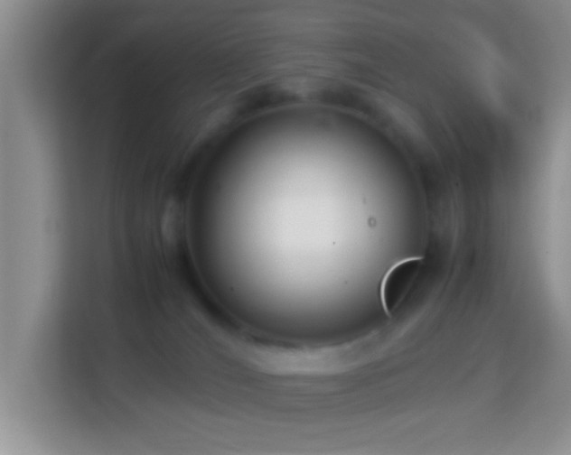 X0000113990036200910091347