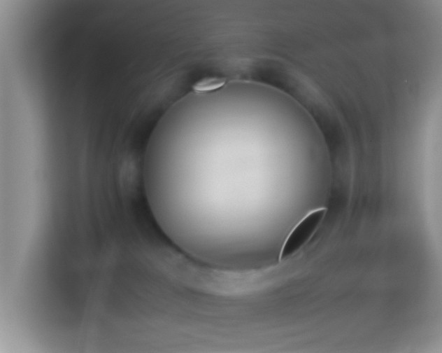 X0000113990037200910091347