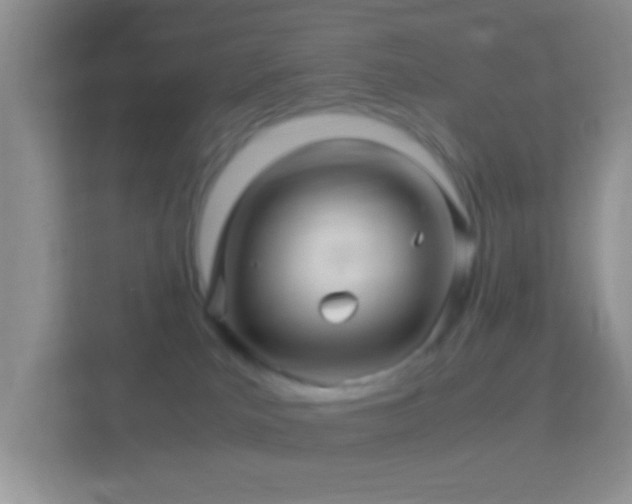 X0000113990039200910091347