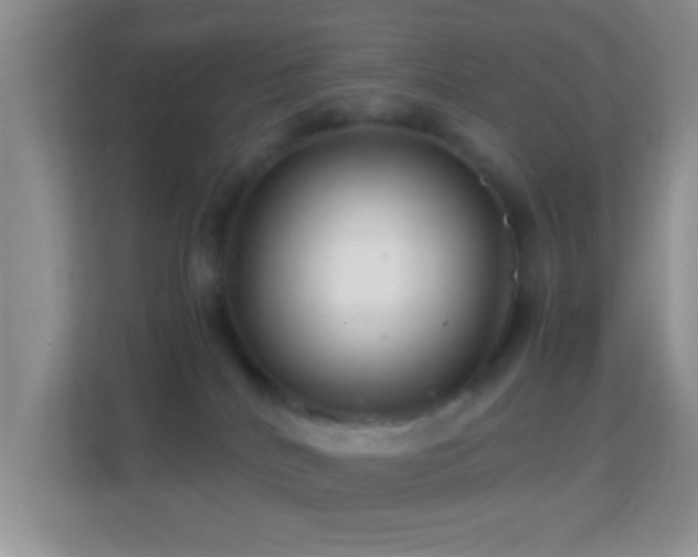 X0000113990040200910091347