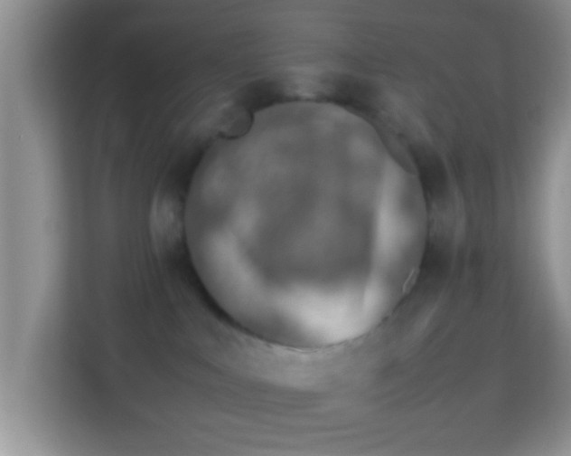 X0000113990043200910091347