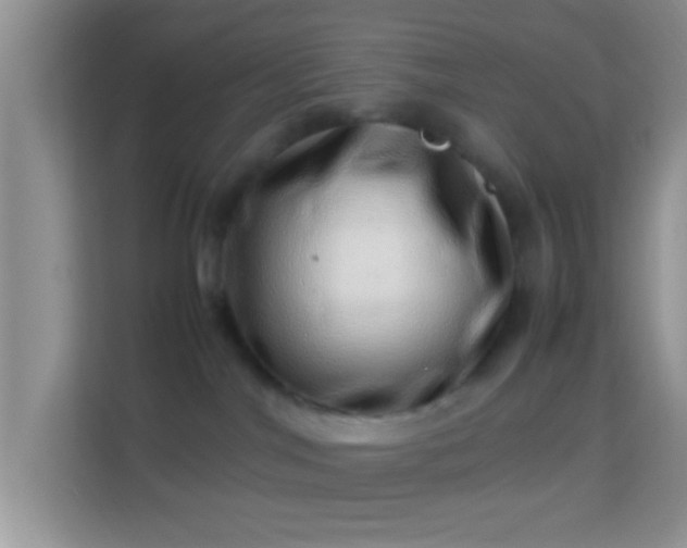 X0000113990044200910091347