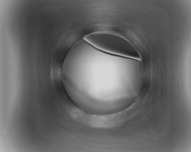 X0000113990045200910091347