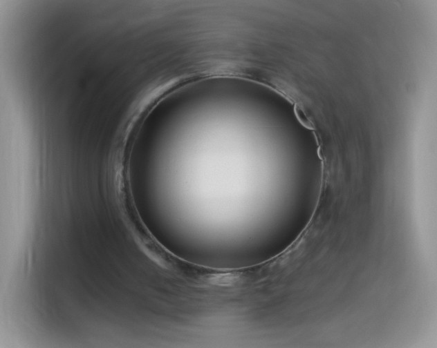 X0000113990050200910091346