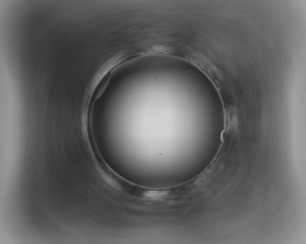 X0000113990051200910091346