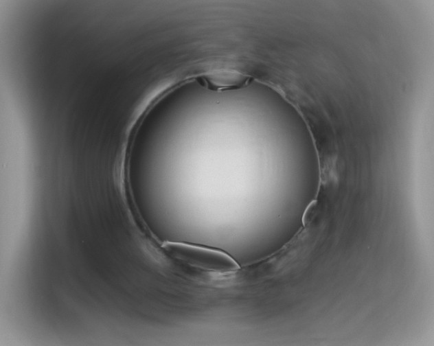 X0000113990052200910091346