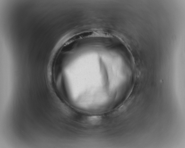 X0000113990053200910091346