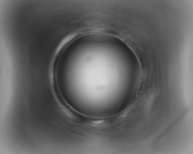 X0000113990054200910091346