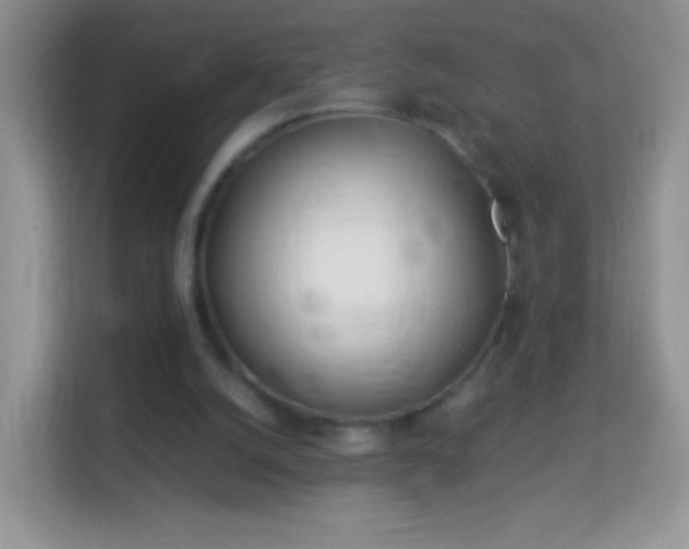 X0000113990056200910091346